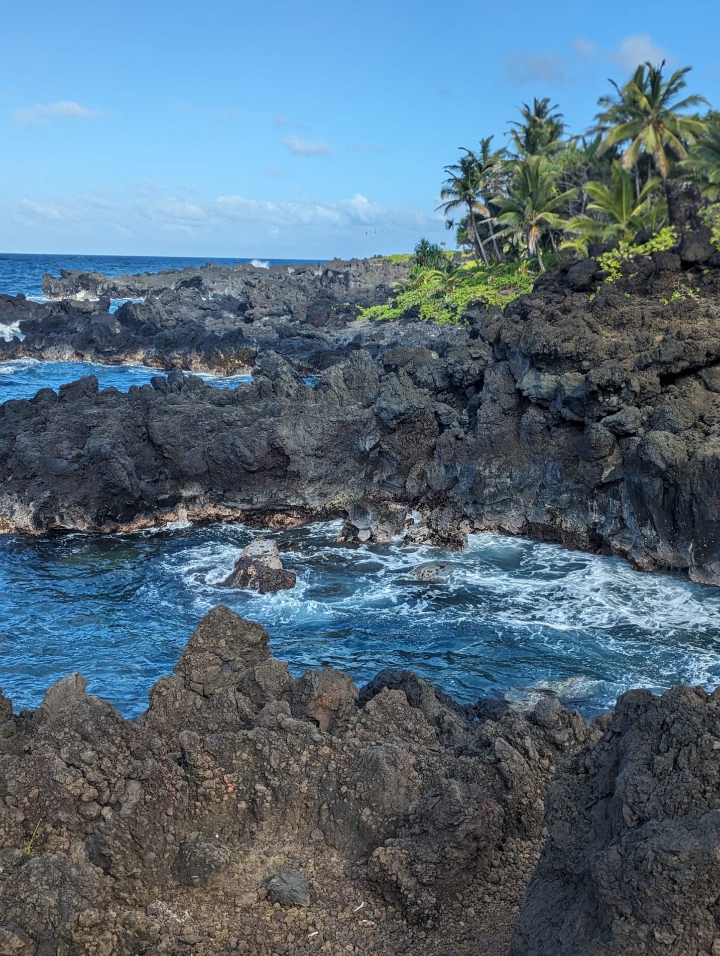 A rugged coastline with dark volcanic rock formations meets the vibrant blue ocean under a clear sky. Green palm trees and tropical vegetation can be seen in the background, creating a striking contrast with the rocky shoreline. Waves crash gently against the rocks, embodying the true spirit of Aloha in Hawaii.