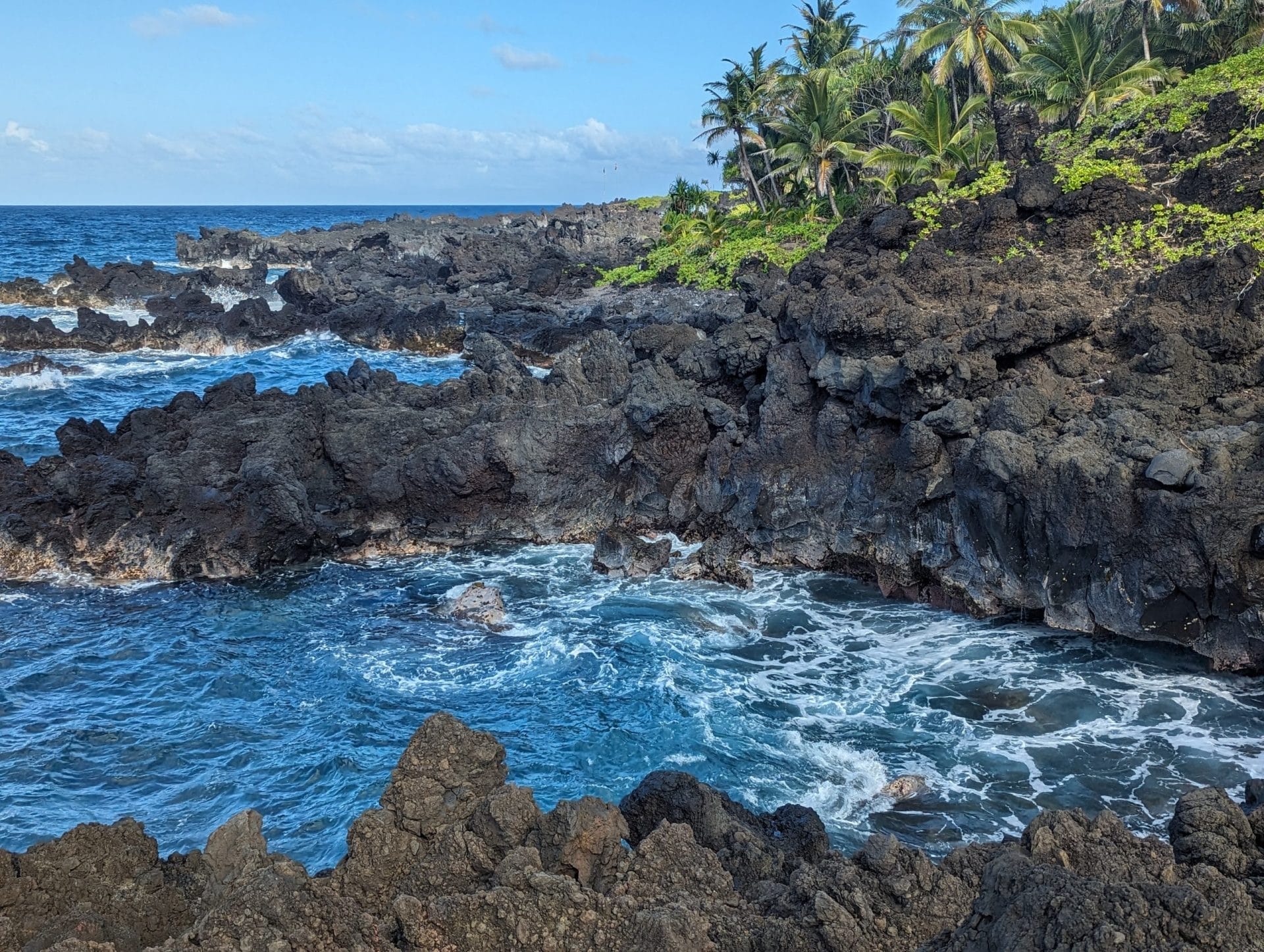 The image showcases a rocky coastline with dark volcanic rocks against the blue ocean waves, reminiscent of Hawaii's stunning landscapes. The shoreline is dotted with lush green vegetation and palm trees under a mostly clear sky, creating the perfect backdrop for your favorite beach apparel.